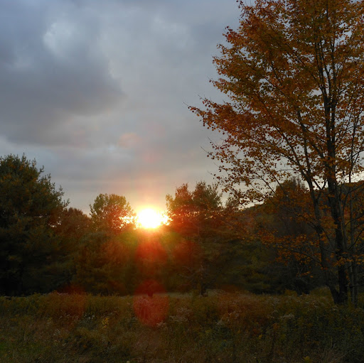 Timothy Potter Photo 9
