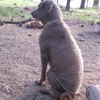 Richard Trout Photo 14