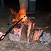 Don Wiener Photo 9