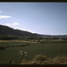 Virginia Field Photo 5
