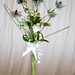 Julie Mcandrew Photo 16