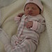 Connie Taylor Photo 35