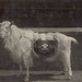 Grace Helm Photo 7
