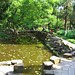 Ting Lin Photo 20