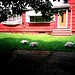 Guy Distefano Photo 4