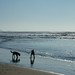 Michael Funston Photo 13