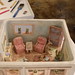 David Furman Photo 22