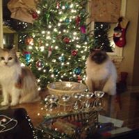 Cheryl Duckworth Photo 19