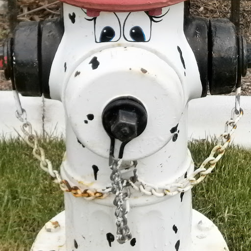 Francis Daniels Photo 4