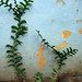 Jacob Wall Photo 6