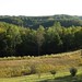 Spencer Hill Photo 41