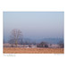 Dawn Starkey Photo 14