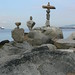 Terry Robison Photo 28