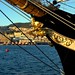Richard Taranto Photo 15