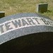 Samuel Stewart Photo 23