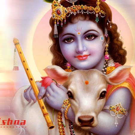 Anil Bose Photo 15