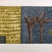 Ellen Hill Photo 15