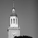 Howard Bell Photo 17