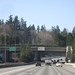Sherry Mercer Photo 9