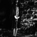 Eileen Andrews Photo 44