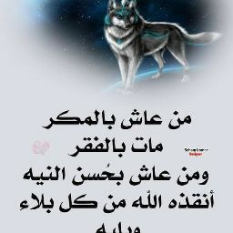 Alex Read Photo 19