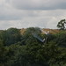 Alan Szabo Photo 18