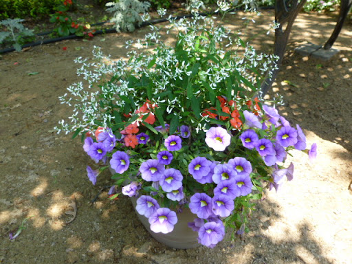 Joann Fleming Photo 14