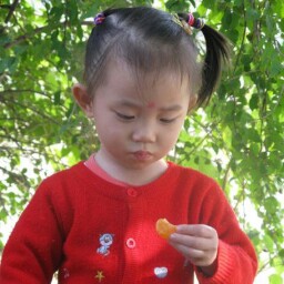 Pin Chen Photo 35