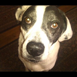Rebecca Haldeman Photo 3
