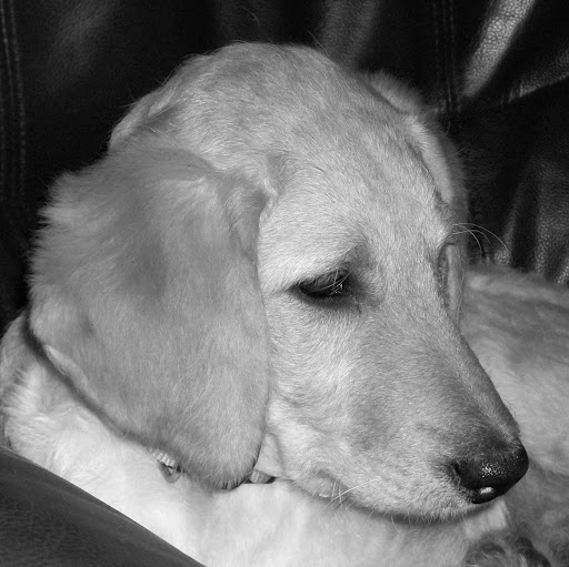 Debbie Fleming Photo 14
