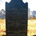 Ann Reynolds Photo 37