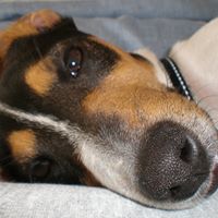 Nancy Biddle Photo 10