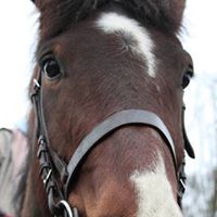 Joe Bean Photo 32