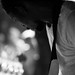 Gerard Austin Photo 6