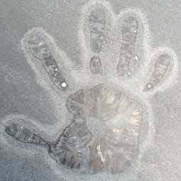 Christopher Mccracken Photo 30