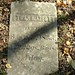 Ethan Abbott Photo 19
