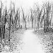 Frances Purdy Photo 10