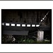 Kenneth Stephens Photo 45