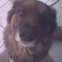 Manuel Abarca Photo 7