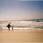 Susan Stoddard Photo 31