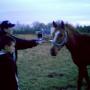 Linda Blevins Photo 3