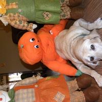 Molly Mccormick Photo 41