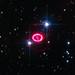 Kevin Goddard Photo 13