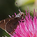 Mark Rothrock Photo 17