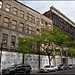 Thomas Hamilton Photo 49