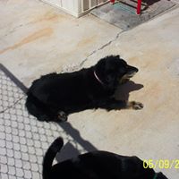 Frankie Dailey Photo 2