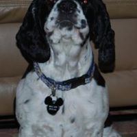Minnie Busch Photo 1