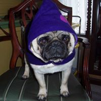 Deborah Rhoads Photo 9