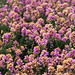 Heather Warren Photo 46