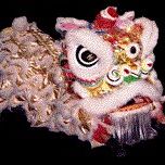 Jimmy Cheng Photo 13